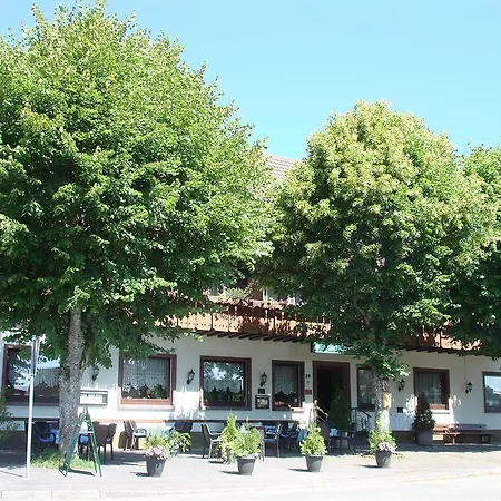 Hotel Zum Hirsch 2*