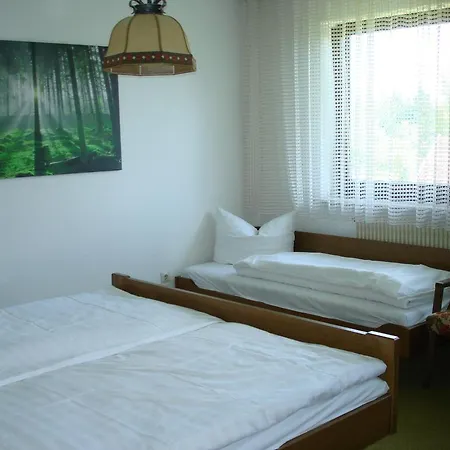 Hotel Zum Hirsch 2*