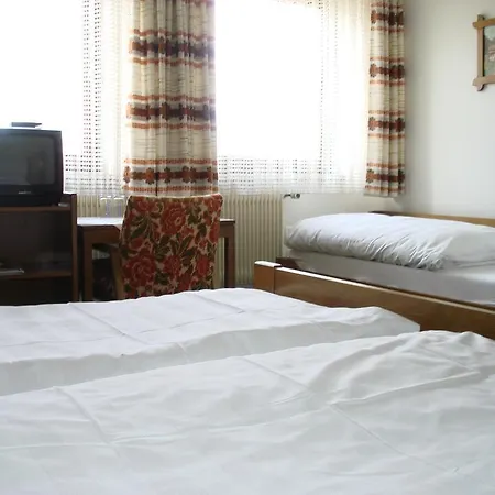 Hotel Zum Hirsch 2*